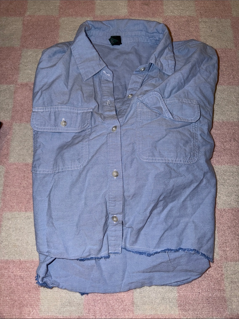 wild fable Light Blue Button-Down Shirt